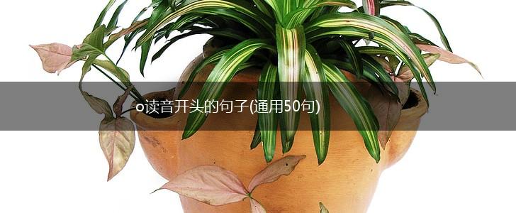 o读音开头的句子(通用50句),第1张