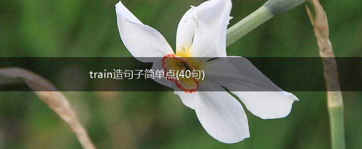 train造句子简单点(40句),第1张