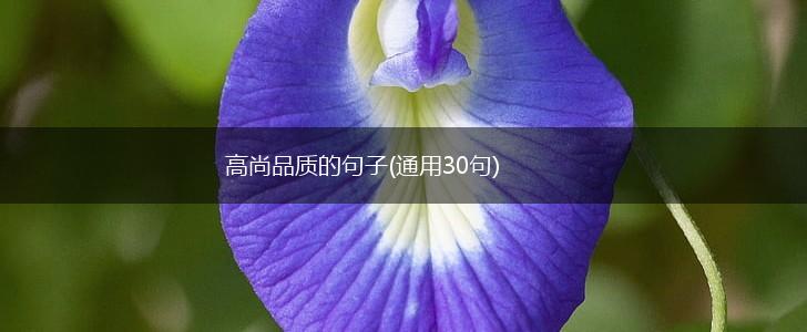 高尚品质的句子(通用30句),第1张