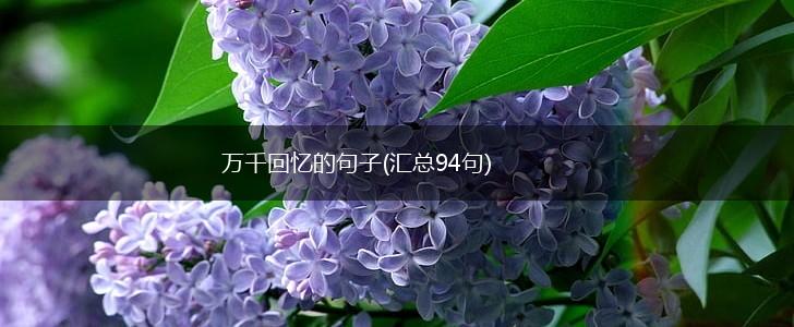 万千回忆的句子(汇总94句),第1张