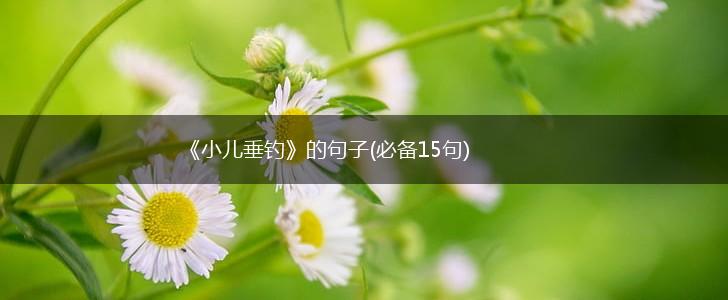 《小儿垂钓》的句子(必备15句),第1张