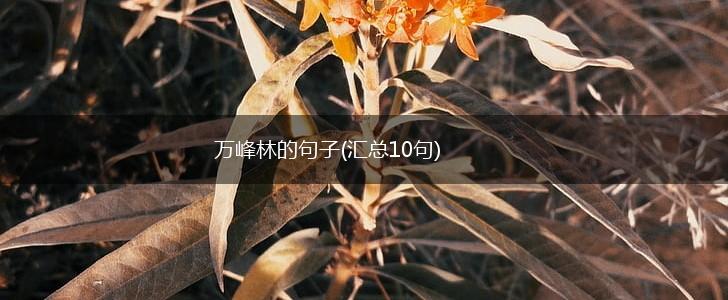 万峰林的句子(汇总10句),第1张