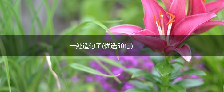 一处造句子(优选50句),第1张