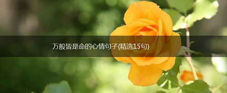万般皆是命的心情句子(精选15句),第1张