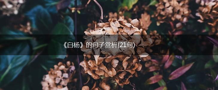 《白杨》的句子赏析(21句),第1张
