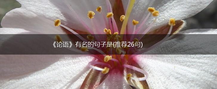 《论语》有名的句子是(推荐26句),第1张