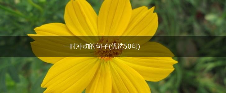 一时冲动的句子(优选50句),第1张