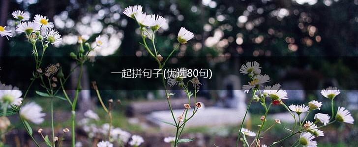 一起拼句子(优选80句),第1张