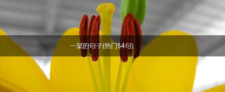 一某的句子(热门54句),第1张