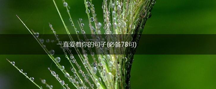一直爱着你的句子(必备78句),第1张
