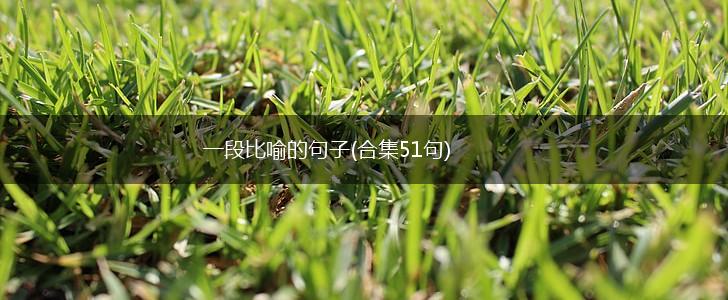 一段比喻的句子(合集51句),第1张