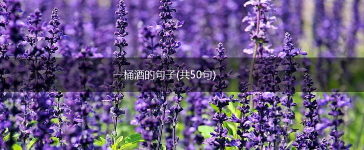 一桶酒的句子(共50句),第1张