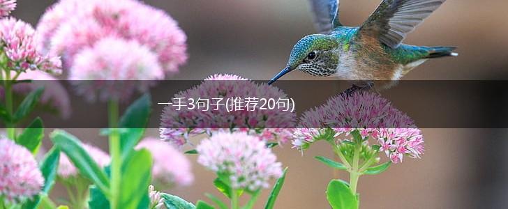 一手3句子(推荐20句),第1张