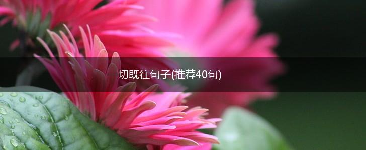 一切既往句子(推荐40句),第1张