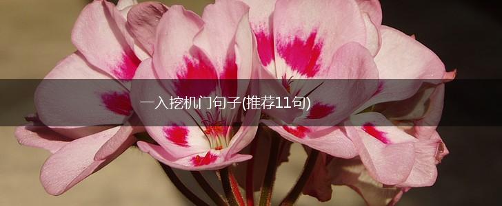 一入挖机门句子(推荐11句),第1张
