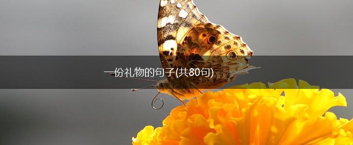 一份礼物的句子(共80句),第1张