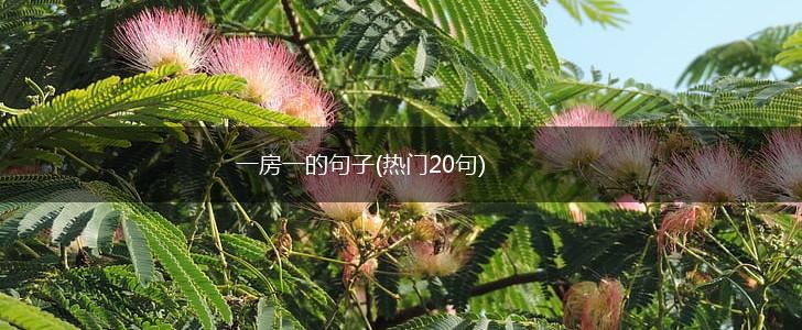 一房一的句子(热门20句),第1张