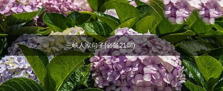 三峡人家句子(必备21句),第1张