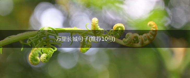 万里长城句子(推荐10句),第1张