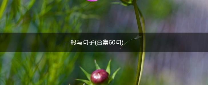 一般写句子(合集60句),第1张