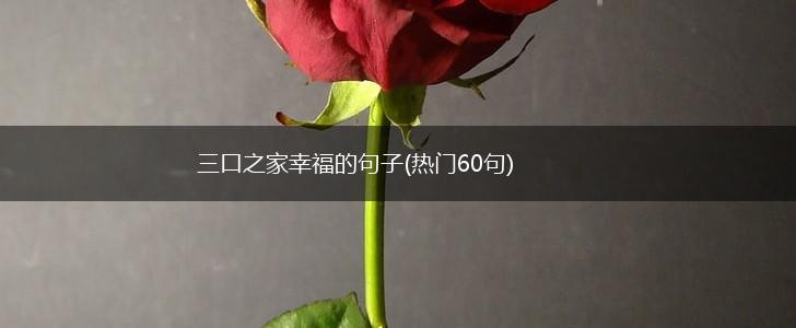 三口之家幸福的句子(热门60句),第1张