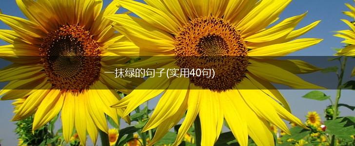 一抹绿的句子(实用40句),第1张