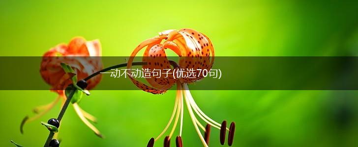 一动不动造句子(优选70句),第1张