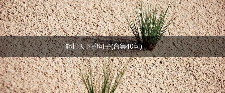 一起打天下的句子(合集40句),第1张