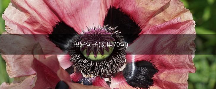 一段好句子(实用70句),第1张