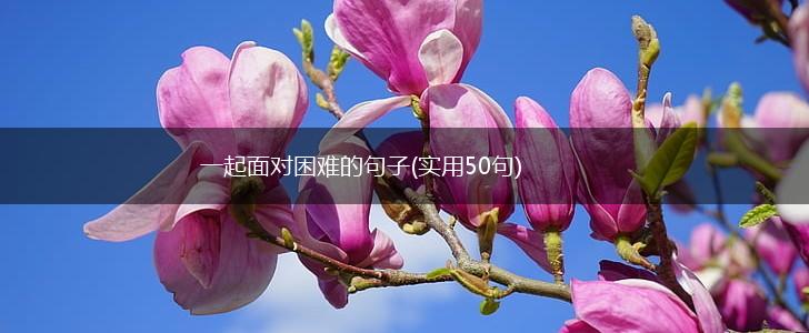 一起面对困难的句子(实用50句),第1张