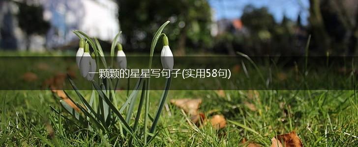 一颗颗的星星写句子(实用58句),第1张