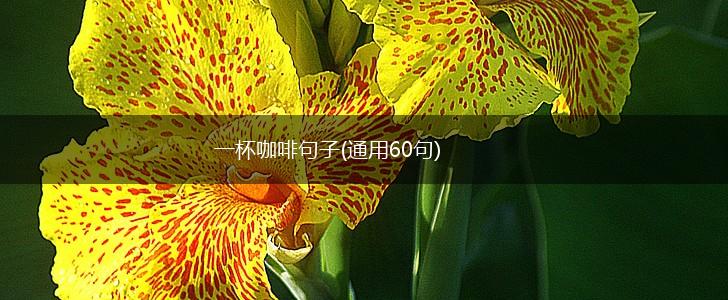 一杯咖啡句子(通用60句),第1张