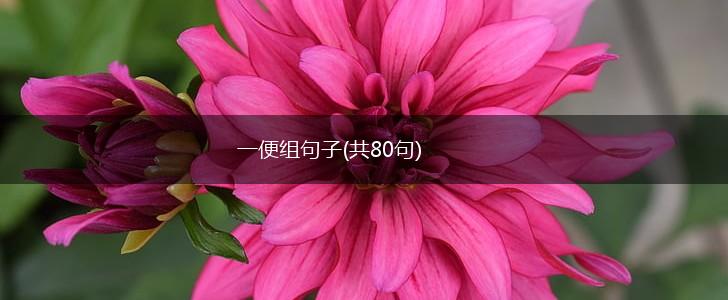 一便组句子(共80句),第1张