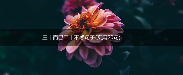 三十而已二十不惑句子(实用20句),第1张