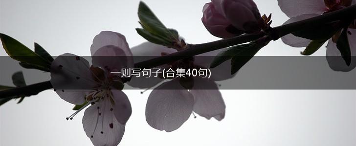 一则写句子(合集40句),第1张