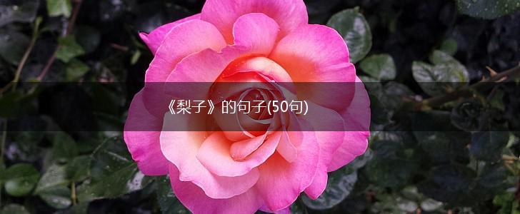 《梨子》的句子(50句),第1张