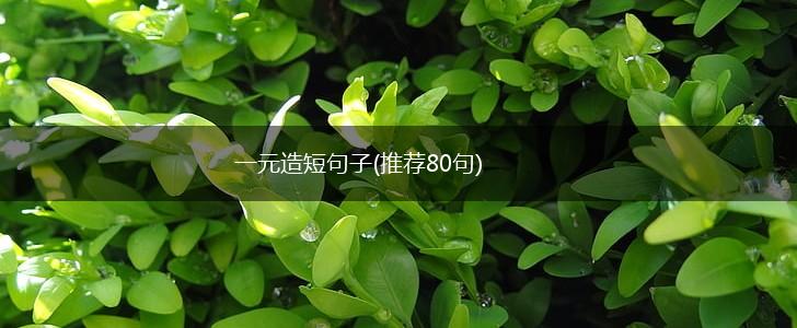 一元造短句子(推荐80句),第1张