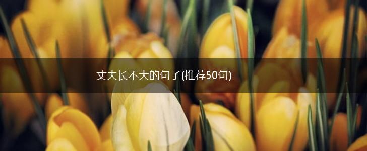 丈夫长不大的句子(推荐50句),第1张