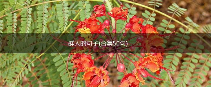 一群人的句子(合集50句),第1张