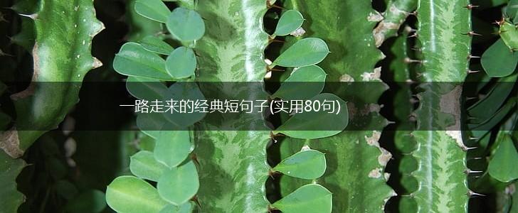 一路走来的经典短句子(实用80句),第1张