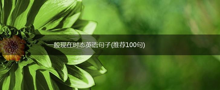一般现在时态英语句子(推荐100句),第1张