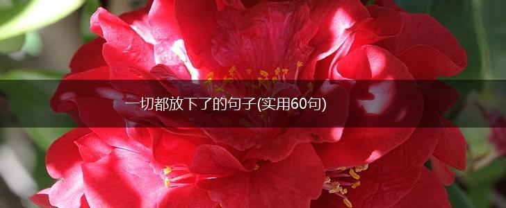 一切都放下了的句子(实用60句),第1张
