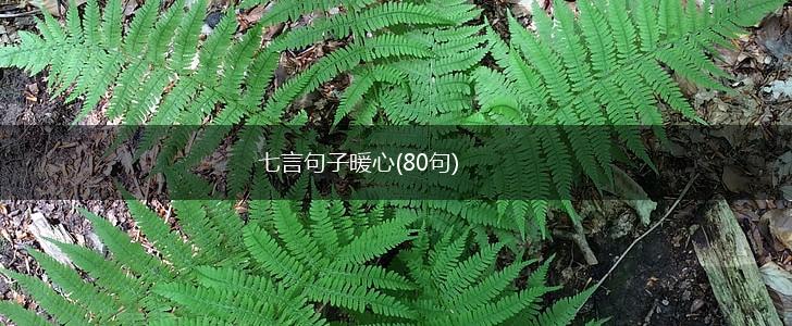 七言句子暖心(80句),第1张