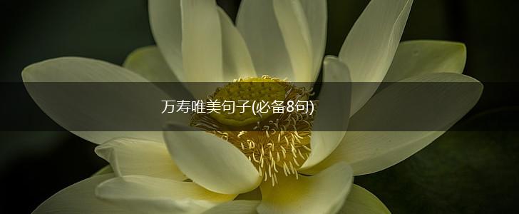 万寿唯美句子(必备8句),第1张