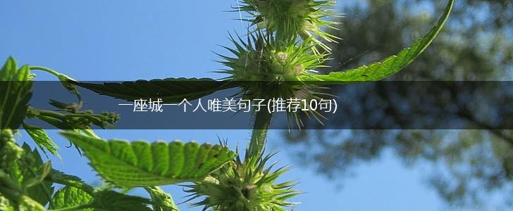 一座城一个人唯美句子(推荐10句),第1张