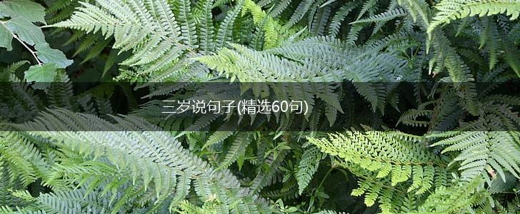 三岁说句子(精选60句),第1张