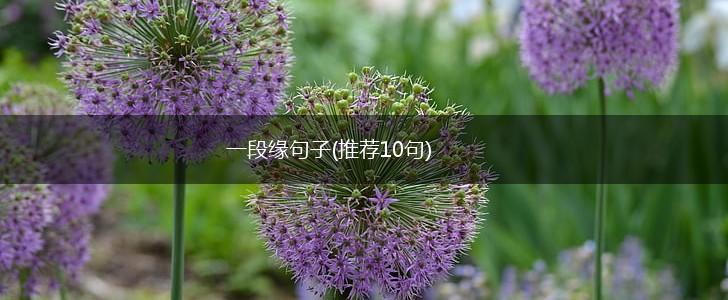 一段缘句子(推荐10句),第1张