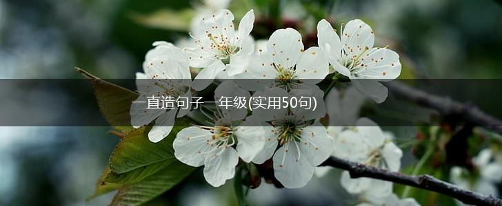 一直造句子一年级(实用50句),第1张