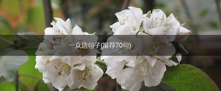 一众造句子(推荐70句),第1张