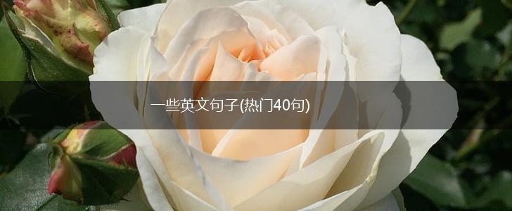 一些英文句子(热门40句),第1张